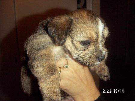 L&eacute; ro mignon!!